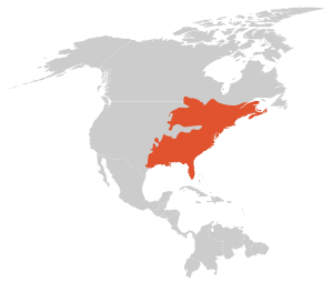 Easternnewtrangemap.svg