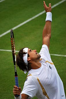 Flickr - Carine06 - David Ferrer serve