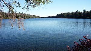 Ganoga Lake daylight