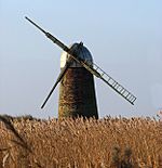 Heigham Holmes Mill.jpg