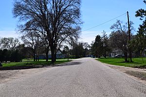 Houses on Helena Road