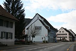 Hornussen2