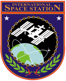 ISS insignia.svg