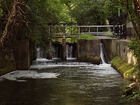 Itchen Nav Old Weir.jpg