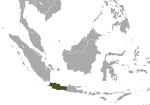 Javan Slow Loris area.png