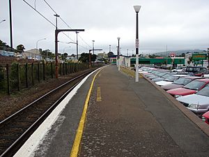 Johnsonville railway station 02