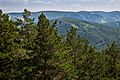 Kuysumy mountains and Torgashinsky range. View from viewing platform on Kashtakovskaya path (Stolby reserve, Krasnoyarsk city) 4Y1A8757 (28363120875)