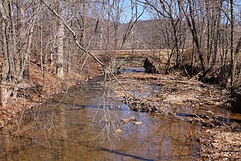 Little Roaring Creek.JPG