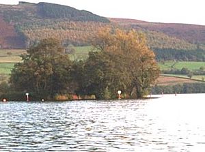 Llangorse crannog