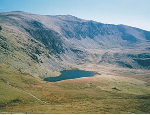 Llyn Ffynnon-y-gwas from Moel Gynghorion - geograph.org.uk - 1780520