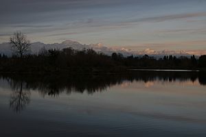 Lower American River-William Pond Park