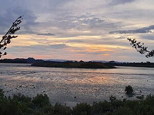 Māngere Lagoon 20200406 181541