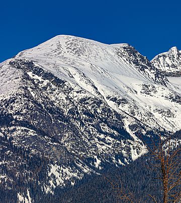 Mount Cook at Whistler, BC.jpg