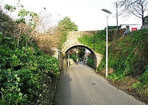 Newquay Tram Track 1