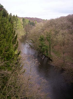 Nidd gorge on viaduct