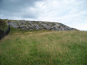 Noyna Rocks (geograph 3864880)