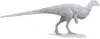 Orodromeus (pencil 2013).png