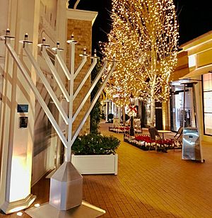 Palisades Village Menorah