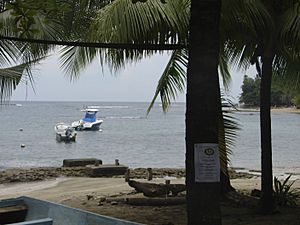 Puerto Viejo de Talamanca 2