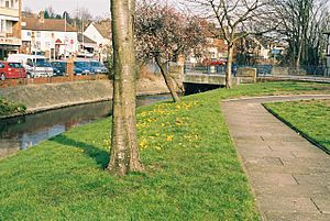 River Cray at Crayford, Kent - geograph.org.uk - 137404.jpg