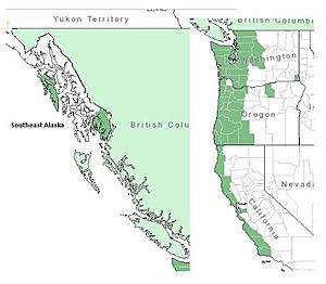 Salal Range.jpg