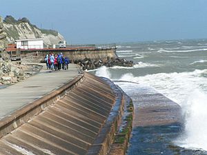 Seawallventnor