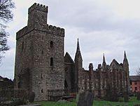 Selskar Abbey, Wexford, Ireland