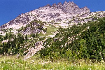 Seven Fingered Jack.jpg