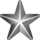 Silver-service-star-3d.svg