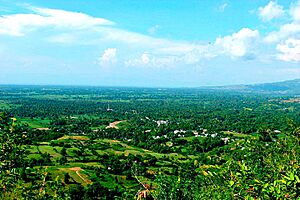 Skyline Leogane.jpg