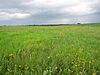 Taberville Prairie Conservation Area.jpg