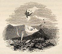 Tail-piece vignette Shooting an Eagle from a pit, from Yarrell History of British Birds 1843