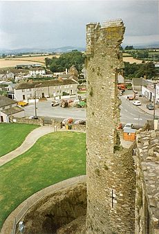 Tower of Ferns Castle