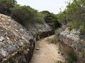 Tram line malabar battery