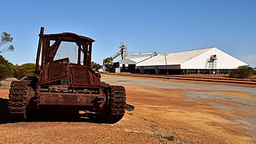 Valentine tank, Maya, 2018 (02).jpg