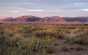 WHITEWATER DRAW WILDLIFE AREA (11-6-2020) early morning, cochise co, az -07 (50610212226)