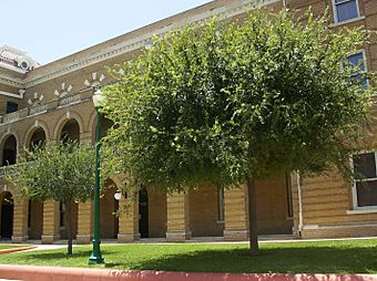 Webb County Courthouse 2007.jpg