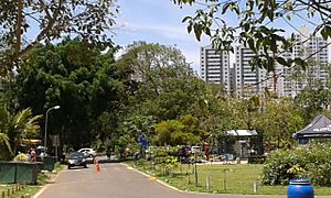 Águas Claras, Brasília - DF, Brazil - panoramio (12)