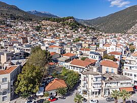 View of Amfissa.