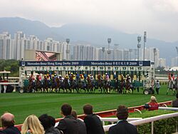 2009 Hong Kong Derby