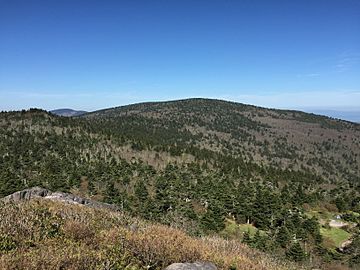 2017-05-16 09 51 01 View west-northwest toward Mount Rogers from the summit of Pine Mountain within the Mount Rogers National Recreation Area in Grayson County, Virginia