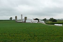 Amish dairy farm 3