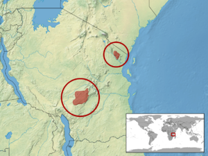 Atheris ceratophora distribution.png