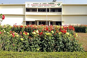 Bangladesh Tea Research Institute (02).jpg