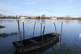 Barque port d'Urt