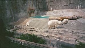 Bear Grotto, Hogle Zoo, 1999