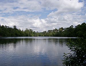 Blackpark Lake.JPG