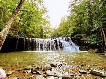 Brush Creek Falls.jpg