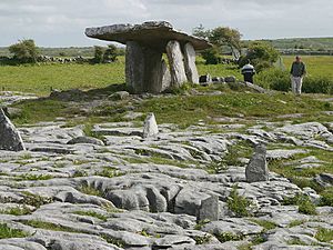 Burrendolmen