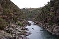 Cataract Gorge